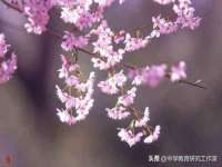 北京上古开天科技有限公司