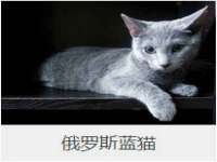 北京上古开天科技有限公司