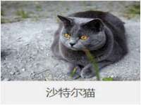 北京上古开天科技有限公司
