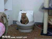 北京上古开天科技有限公司