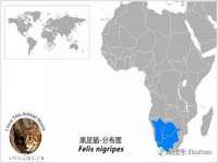 北京上古开天科技有限公司