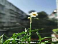 北京上古开天科技有限公司