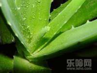北京上古开天科技有限公司