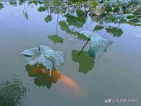 北京上古开天科技有限公司