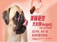 北京上古开天科技有限公司