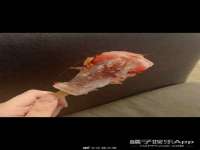北京上古开天科技有限公司